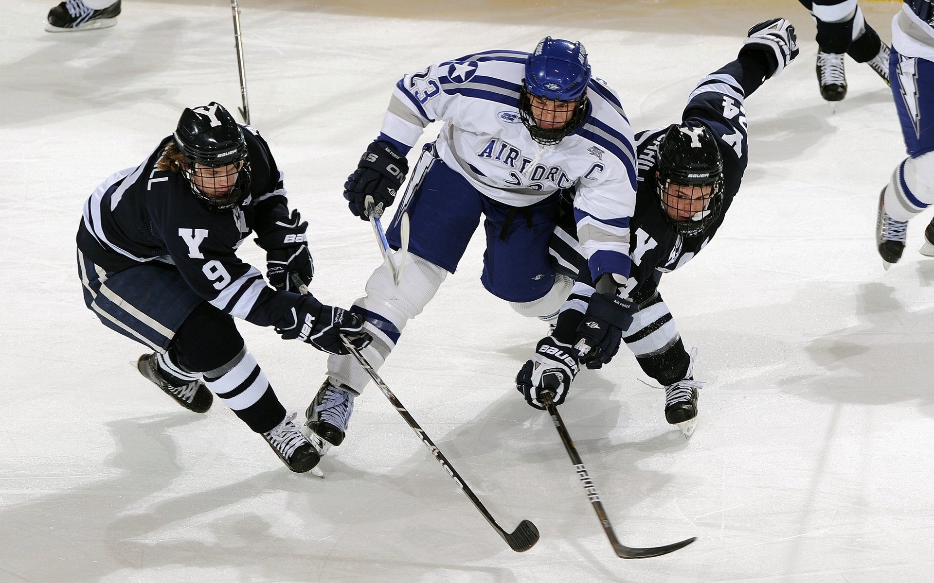 詹姆斯·奥康纳的比赛视野与决策力，成袋鼠队胜负关键，詹姆斯和奥胖跳舞