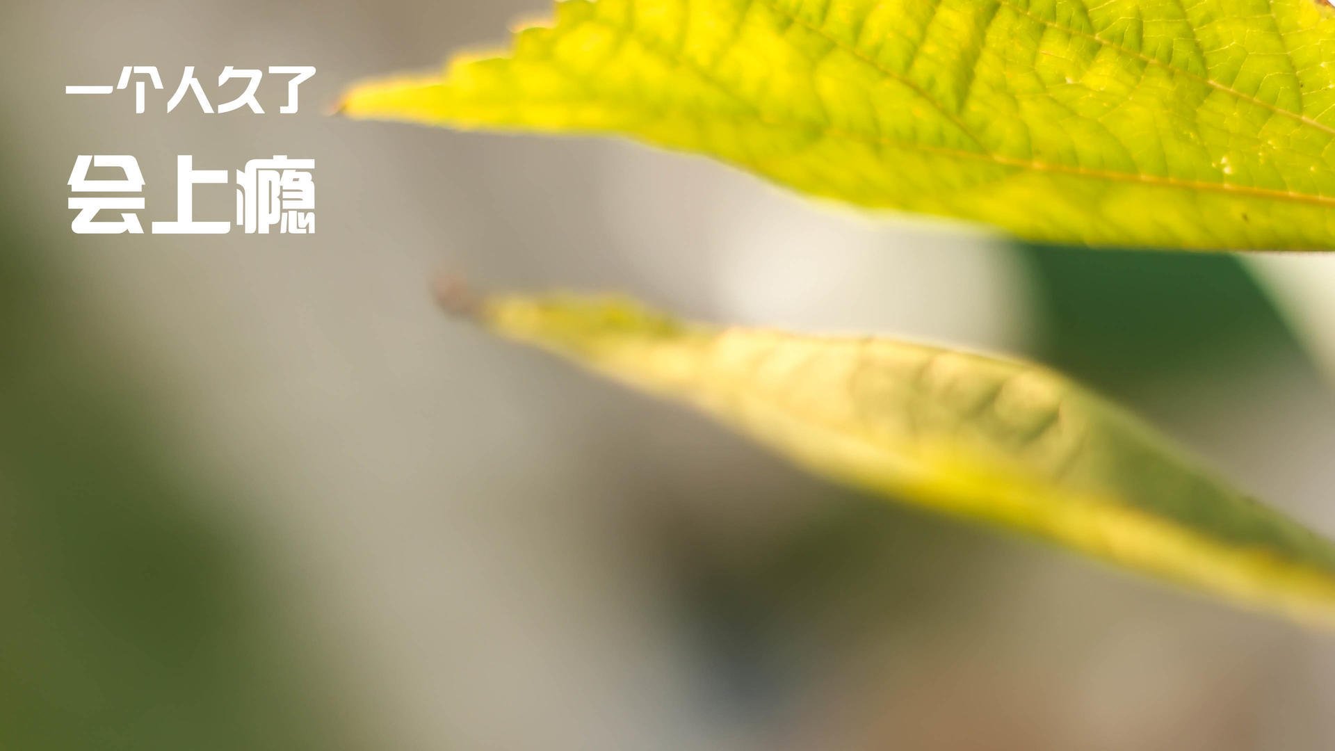 kaiyun开云·官方网站-复出球员逐渐找回状态，NBA战局再添变数，nba球员回归